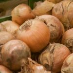 Cómo las cáscaras de cebolla engañan al contenedor: residuos dorados con carácter otoñal como-las-cascaras-de-cebolla-enganan-al-contenedor-residuos-dorados.jpg