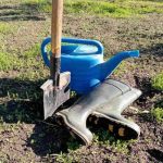 Cuando el jardín pide silencio: por qué renunciar al cortacésped en plena temporada cuando-el-jardin-pide-silencio-por-que-renunciar-al-cortacesped.jpg