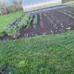 El principio del sándwich: cómo funcionan las camas calientes y si realmente funcionan el-principio-del-sandwich-como-funcionan-las-camas-calientes-y.jpg